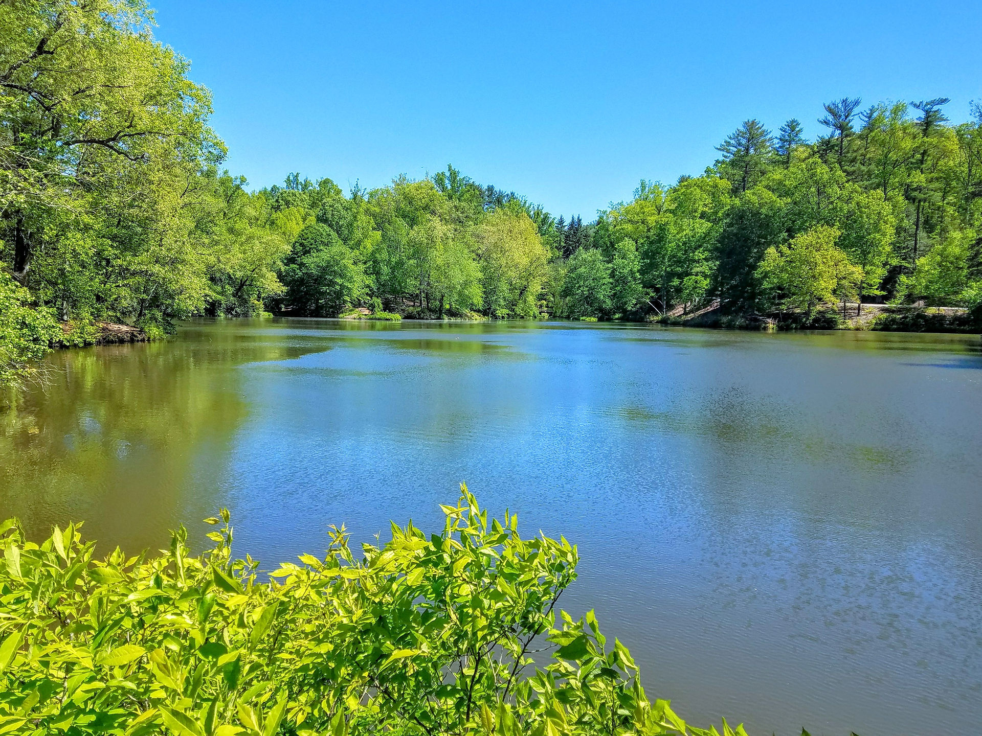 Bass Pond