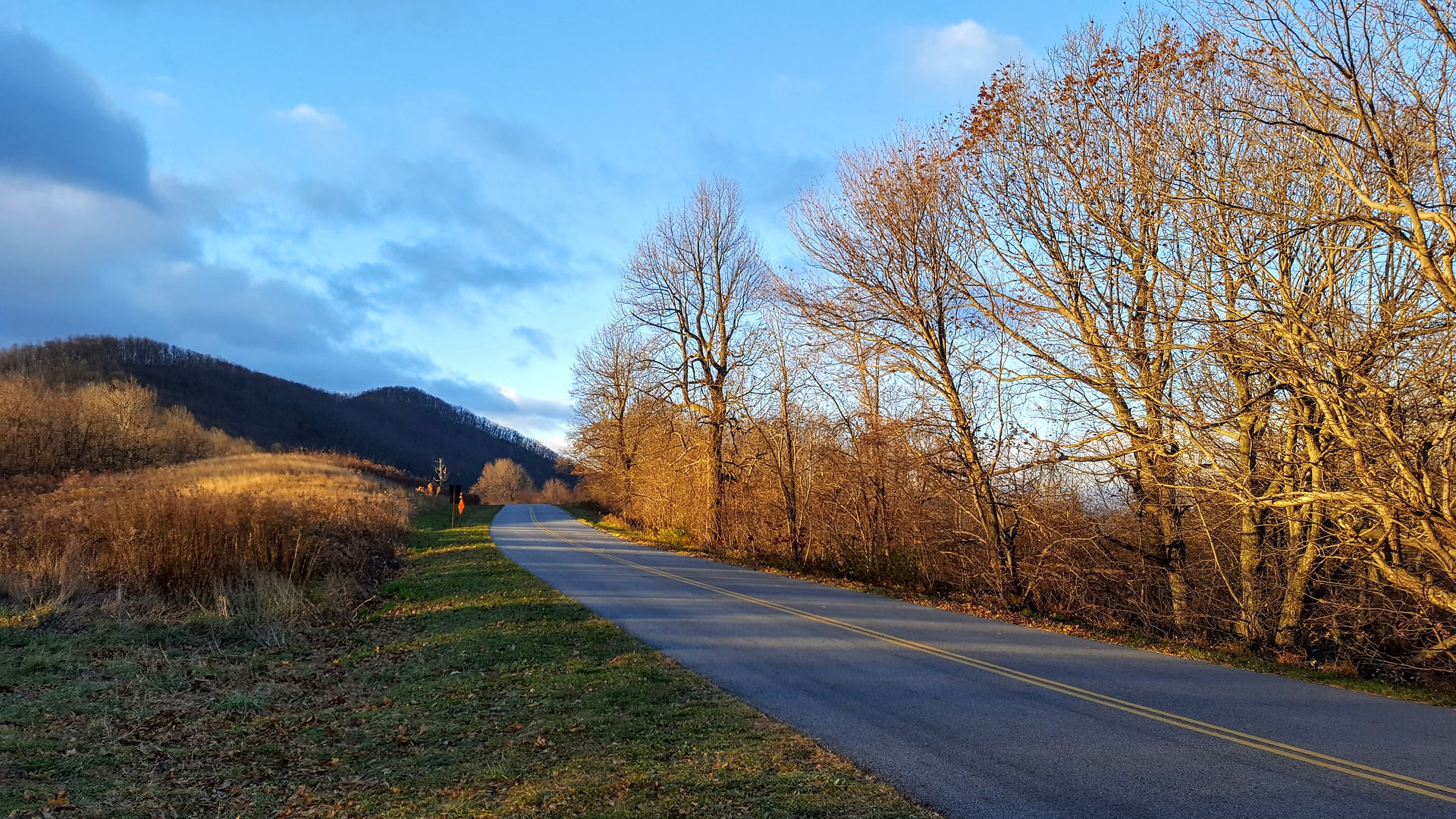 Reids Gap