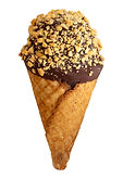 drumstick.jpg