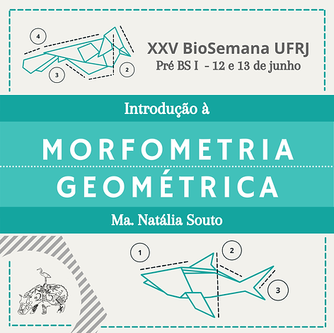 morfometria.png