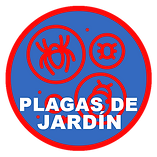 PLAGAS 11.png