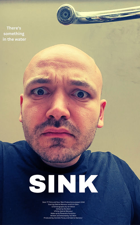 Sink Poster.jpg