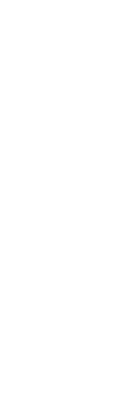 Project 2 - Orchid lines.png