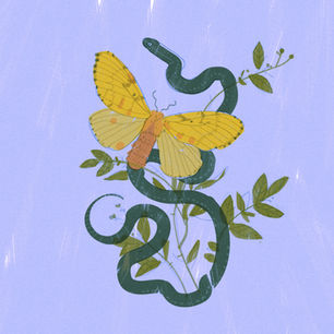 Autumn Miles, illustration by Darya Shnykina for Adventure Cycling