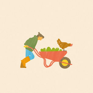 Client: Agricultural Institute of Marin (AIM)
From a series of illustrations for the new AIM website launched in September 2026
