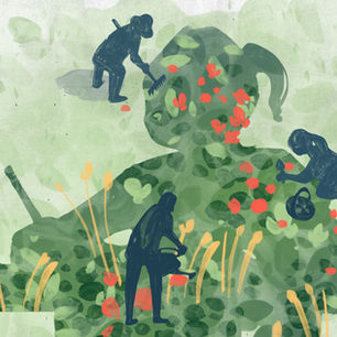 Artist: Mary Haasdyk Vooys
Client: Education Week