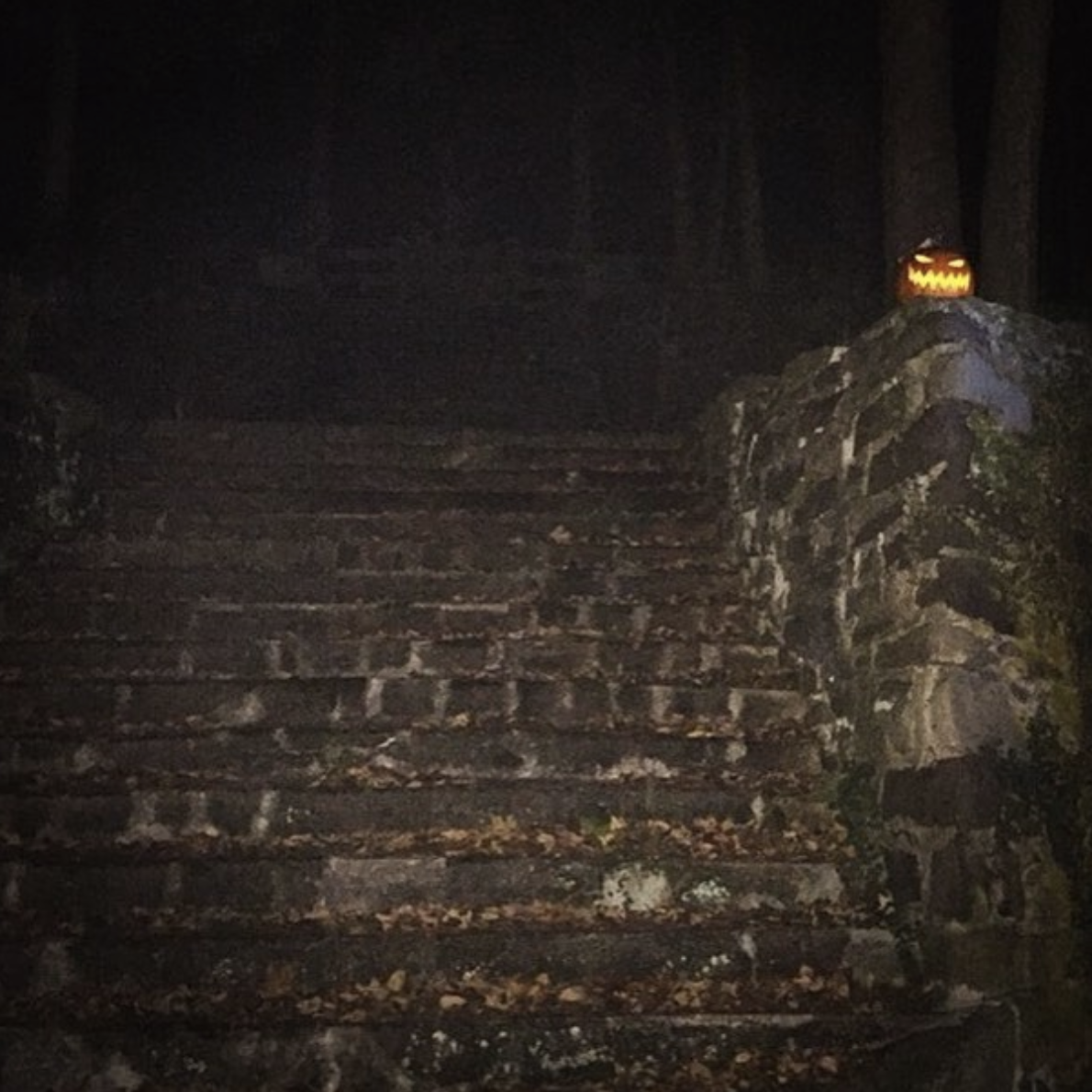 The Great Pumpkin Project - and How to Participate