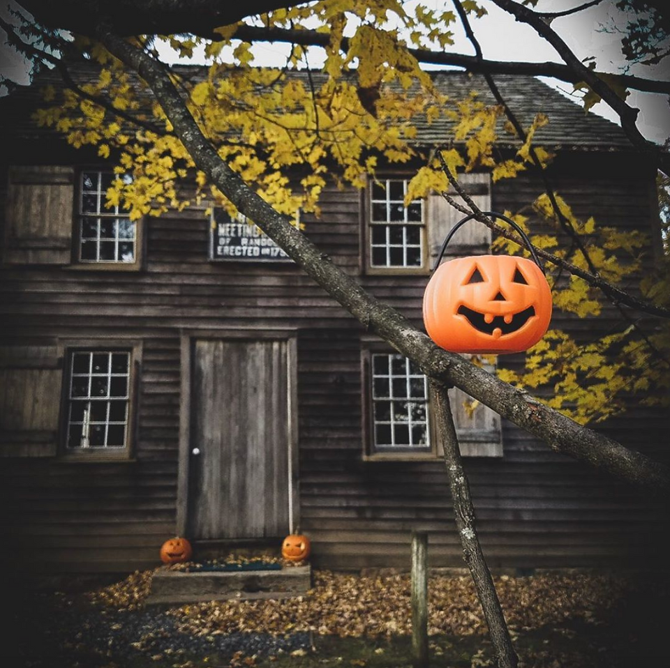 @greatpumpkinproject