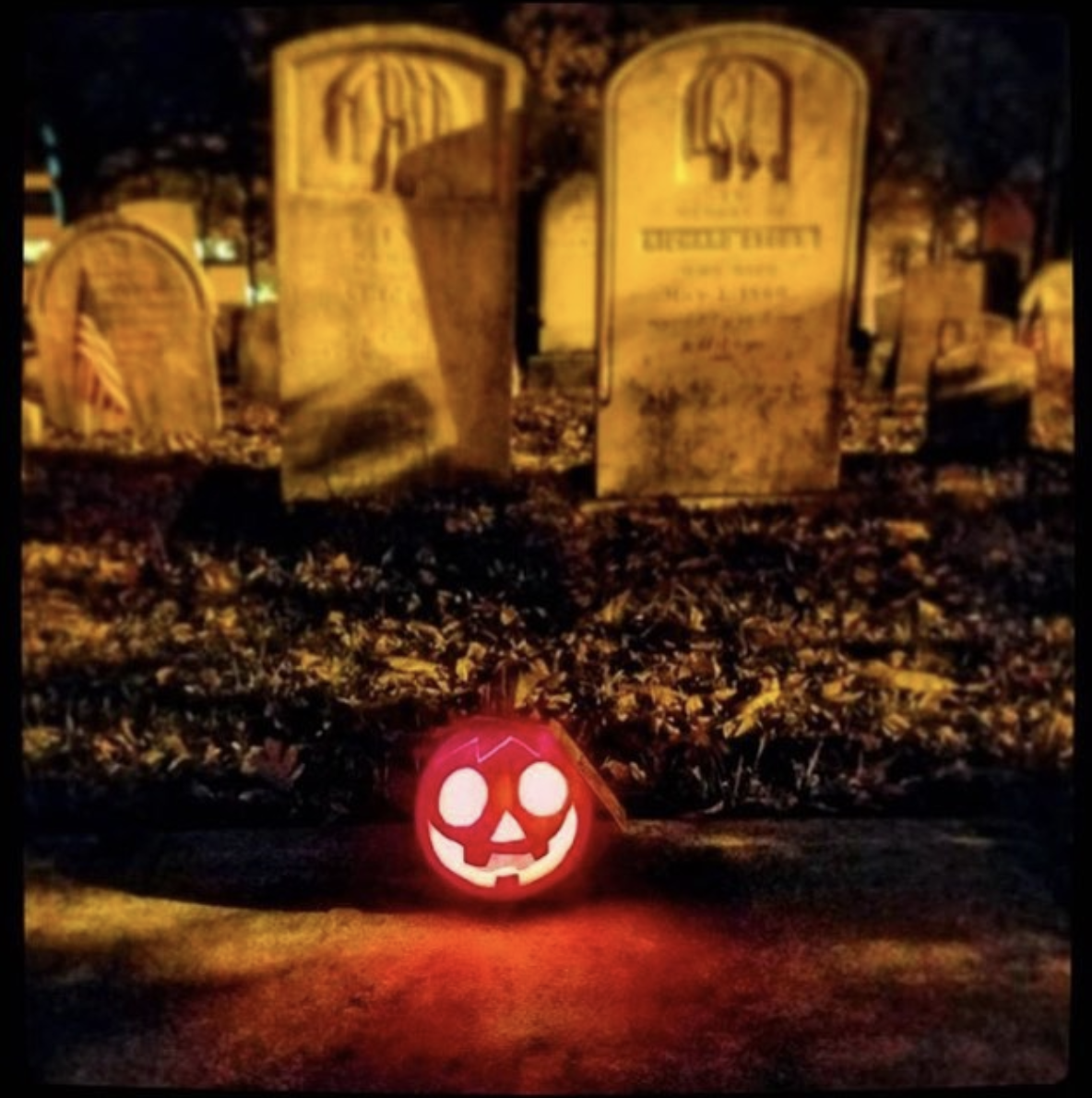 The Great Pumpkin Project - and How to Participate