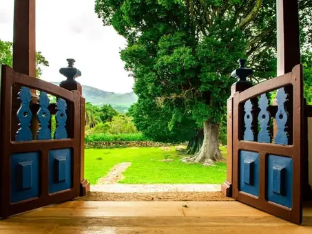 Softscape Your Backyard: Why It's Time to Bring in the Green