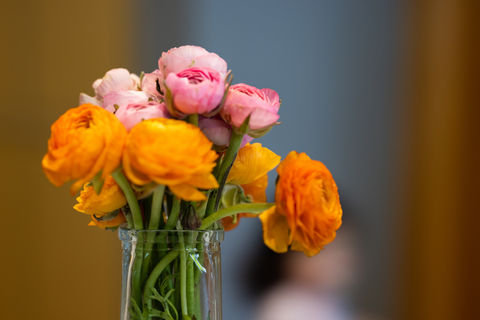 Flowers.jpg