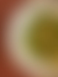 Ensalada de Cítricos con aderezo Miso-Tahini