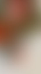 Natural vs Procesado: Salsas de Tomate 