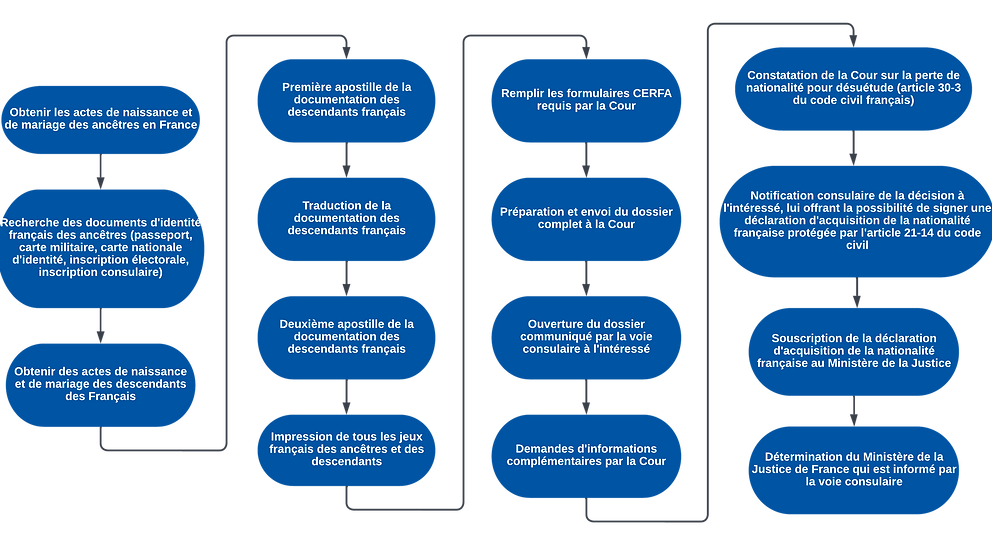 diagrama FR horizontal.png