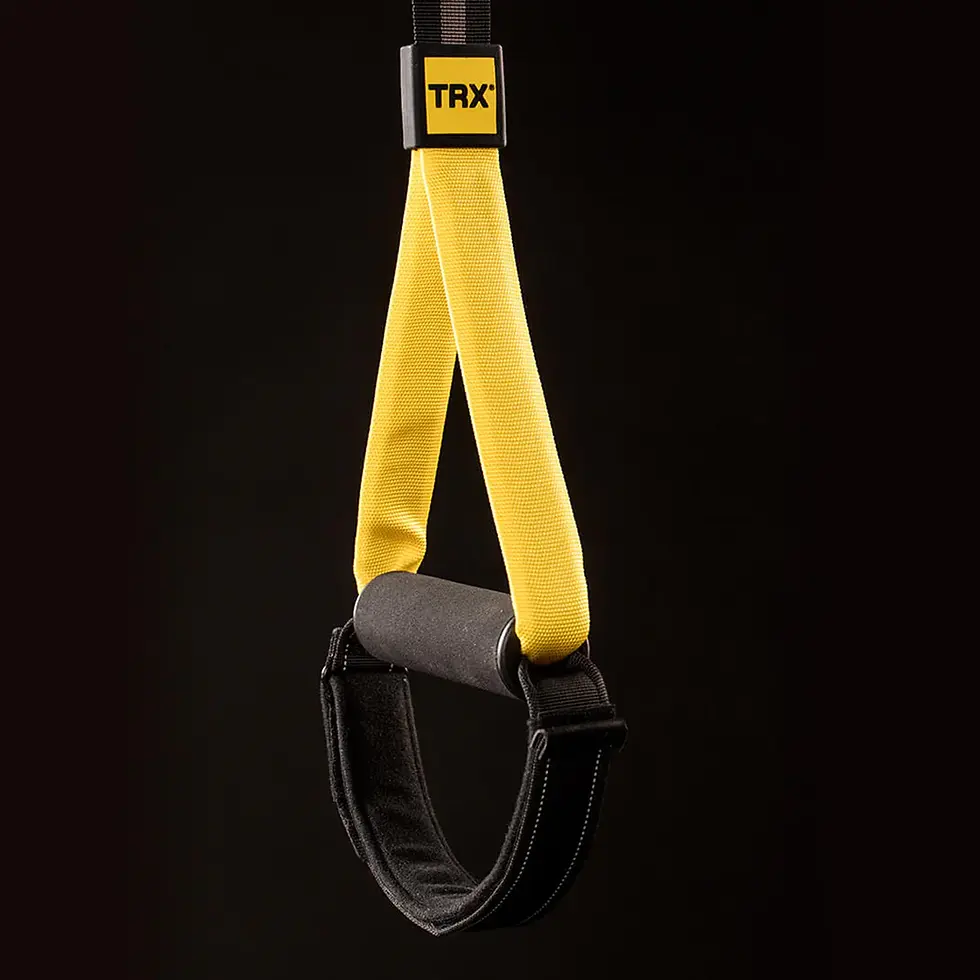 Thumbnail: TRX® HOME2 SYSTEM