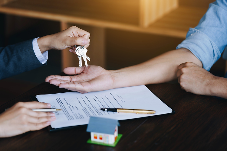 Ventes publiques et Biddit