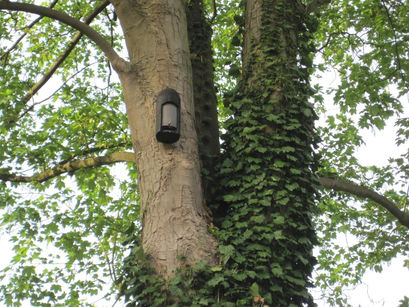 Jardin Sauvage Wavre