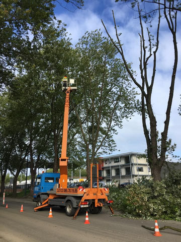 Abattage sur la voie publique