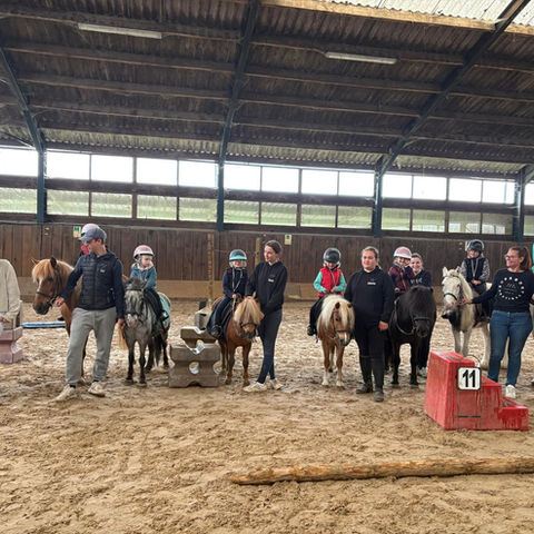 Centre équestre à Comines-Warneton, Haras de Virchel