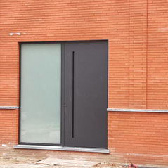 fenêtre en combinaison avec la porte d'entrée