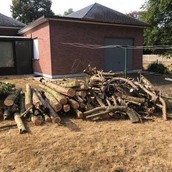 Snoeiwerken Laurent De Meyer