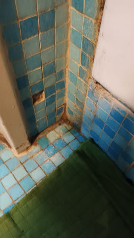 Détection de fuit, douche est fortement endommagé