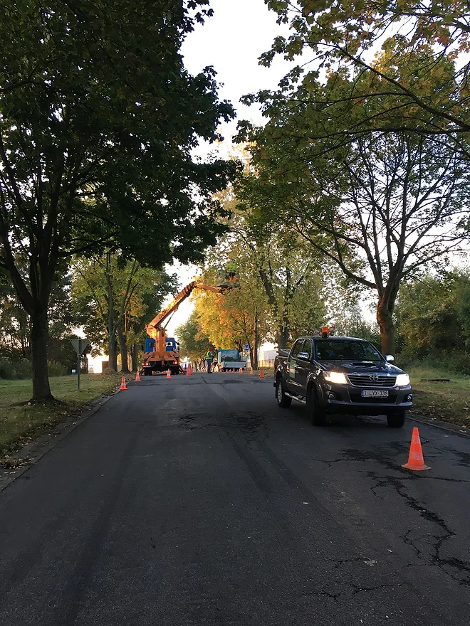 Intervention pour abattage d'arbre dangereux voie publique