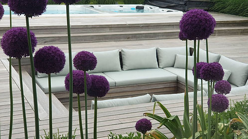 Vue d'un salon de jardin