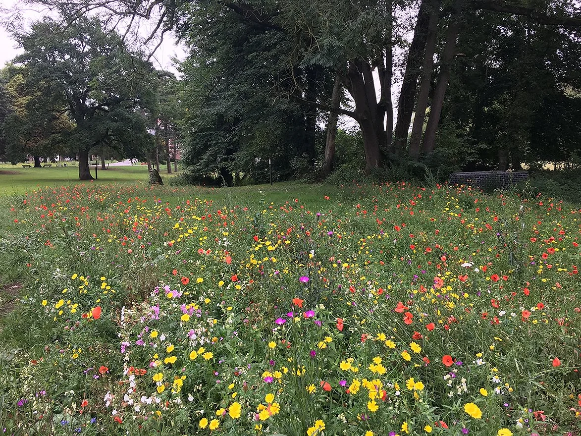 réalisation d'un parc