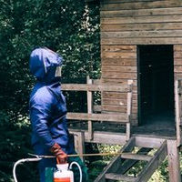 Extermination de nids de guêpes