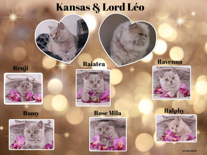 Kansas & Lord Leo