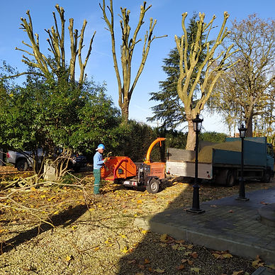 broyage de branches