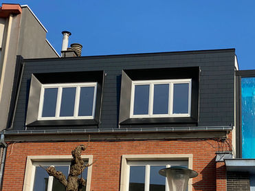 Lucarne en zinc anthra