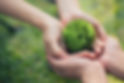 la terre verte