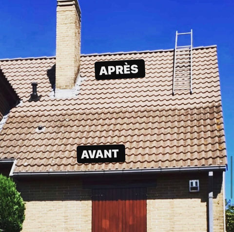 démoussage