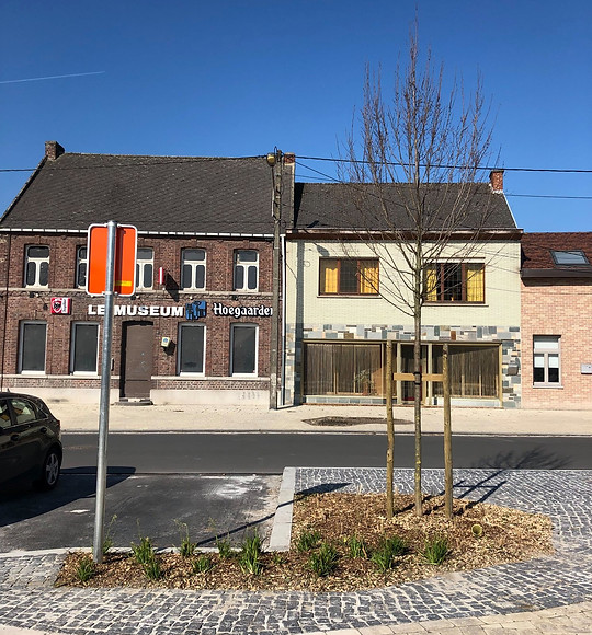plantation de graminé