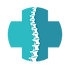 spine