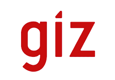 GIZ LOGO_edited_edited.png