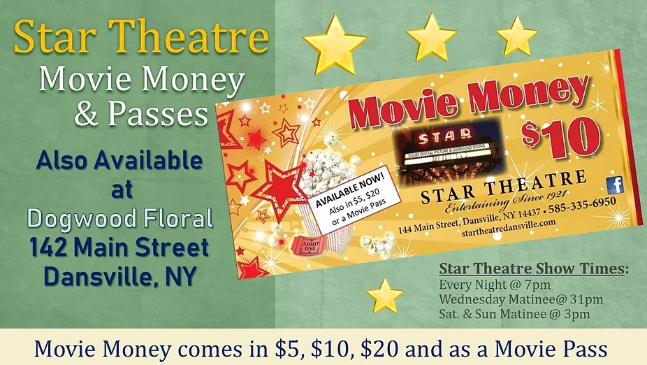 Star Theatre Of Dansville Dansville public library is situated 210 metres northwest of star theatre. star theatre of dansville