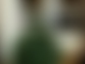 The JJC at Christmas... Money saving tips