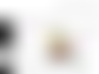 Naija Book Worm Blog Review