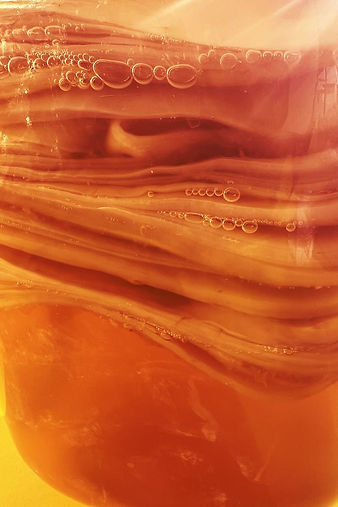 SCOBY.jpg