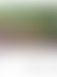 Coatings, Laminations, and Embellishments