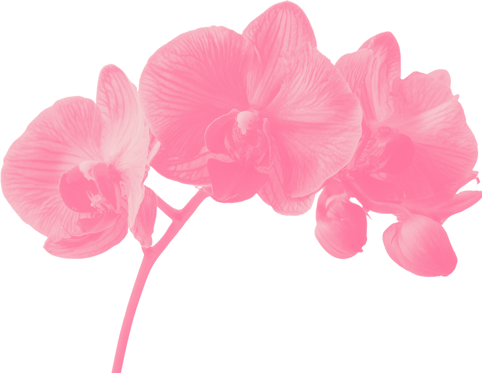 Untitled design (3).png