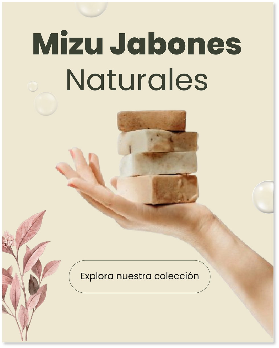 publi 4.png