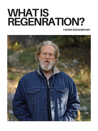 WHAT IS REGENERATION.png