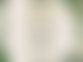 Lebanon FFA Plant Sale