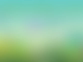 Frankfort Plans For Spring Clean-Up