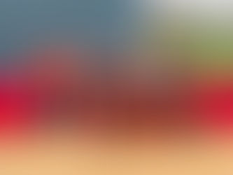 Hornets Claim Softball Sectional Crown