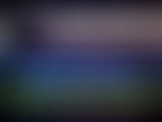 City Dedicates Time Capsule